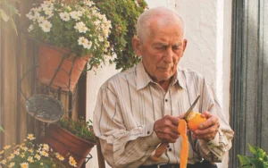 Gastronomía y ambiente festivo protagonizan el Día de la Naranja de Istán 2026