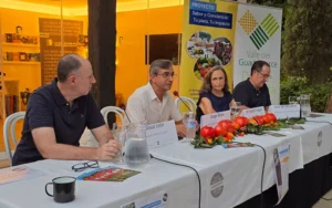 El Tomate Huevo Toro reivindica el valor de lo cercano frente al consumo global