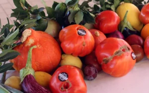 El Tomate Huevo Toro protagonizará una tertulia gastronómica en Alhaurín el Grande