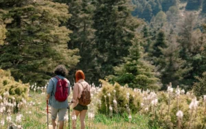 La juventud toma protagonismo en la conservación de la Sierra de las Nieves
