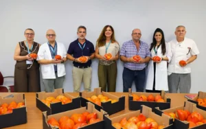 El Hospital Regional incorpora el Tomate Huevo Toro a los menús de más de 600 pacientes