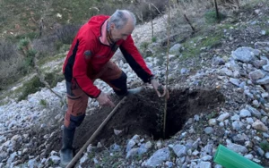 La repoblación de la Sierra de Jarapalos seguirá creciendo este otoño con nuevas plantaciones