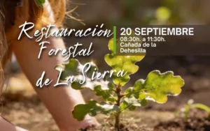 Nueva acción de restauración forestal en Alhaurín el Grande el 20 de septiembre