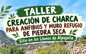 Un taller ambiental en Monda enseñará a construir refugios para anfibios y otras especies