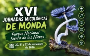 XVI Jornadas Micológicas de Monda: programación completa, precios e inscripciones