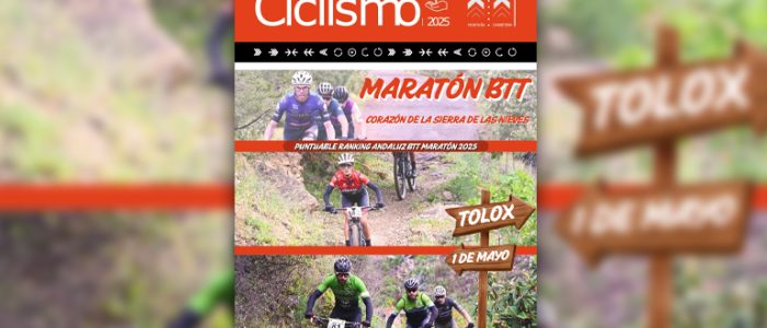 plantilla copia
