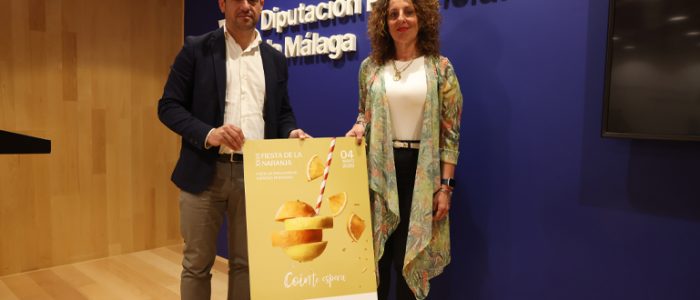plantilla copia