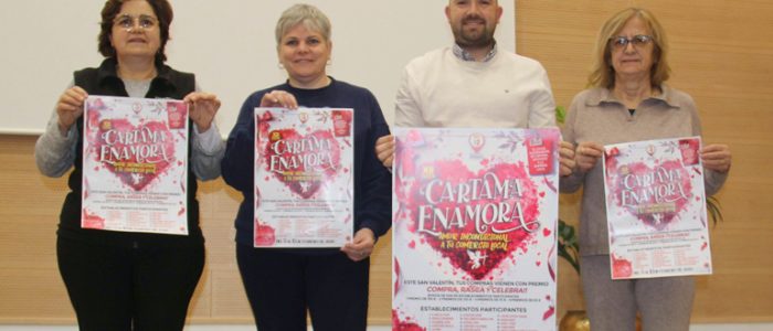 plantilla copia