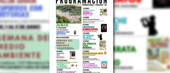 plantilla copia