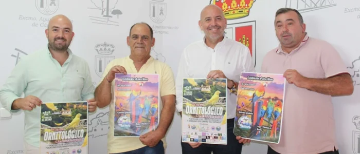 plantilla copia