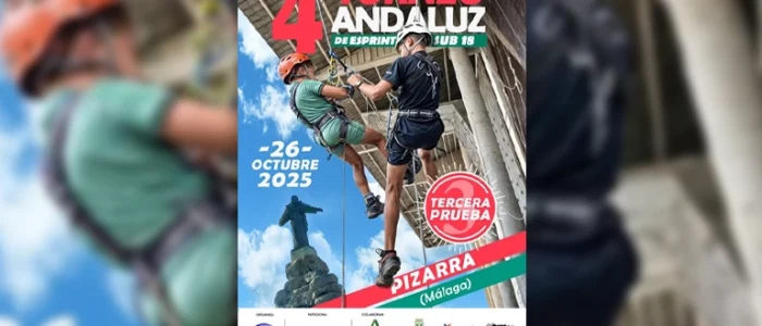 plantilla copia
