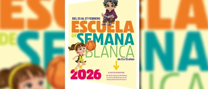 plantilla copia