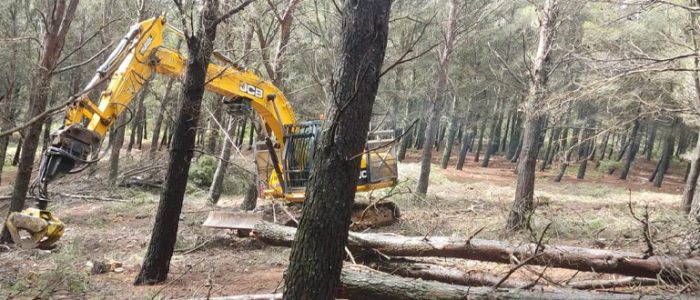 plantilla copia