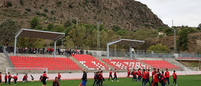 plantilla copia
