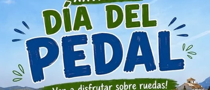 plantilla copia