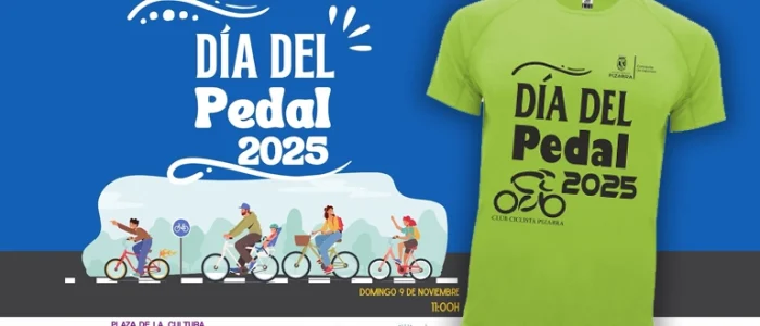 plantilla copia