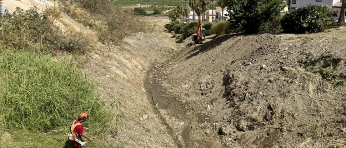 plantilla copia