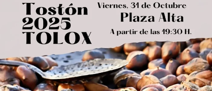 plantilla copia