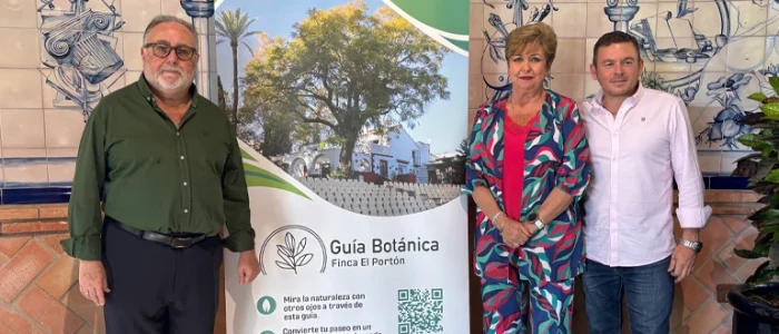 plantilla copia