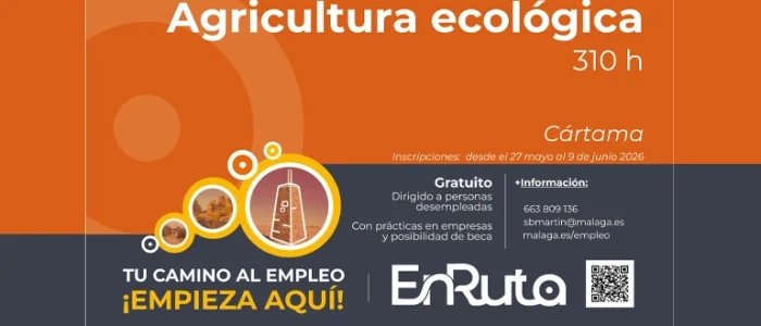 plantilla copia