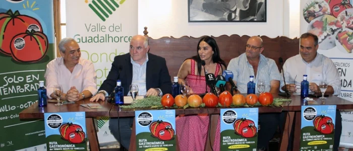 plantilla copia