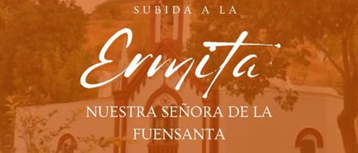 plantilla copia