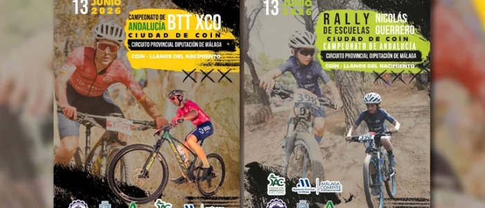 plantilla copia