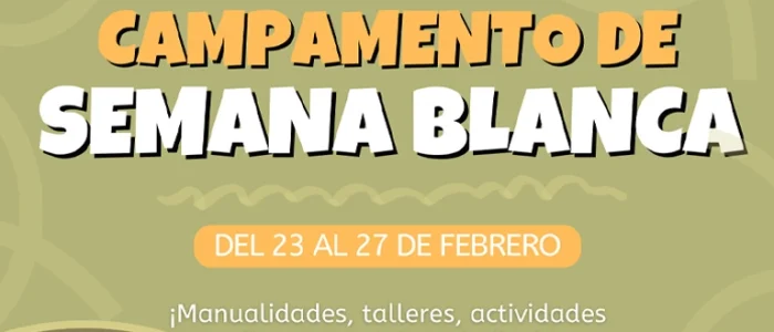 plantilla copia
