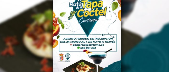 plantilla copia