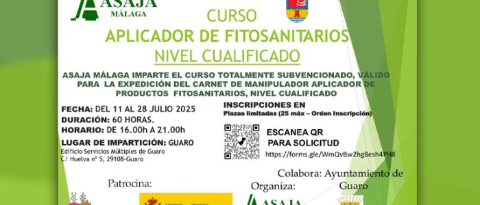 plantilla copia
