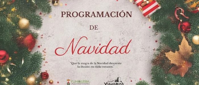 plantilla copia