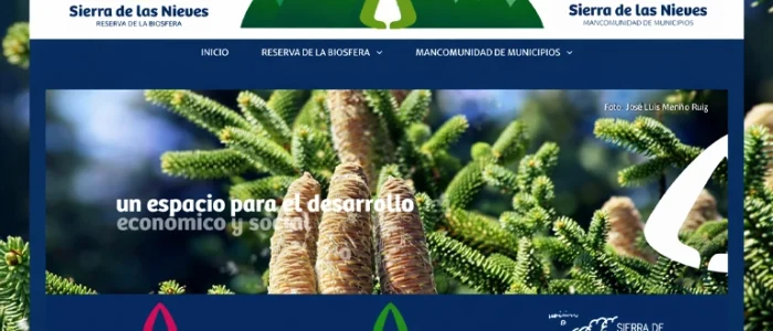 plantilla copia