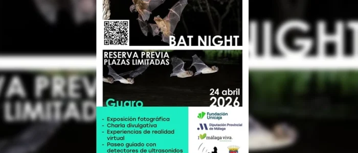 plantilla copia