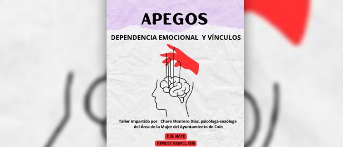 plantilla copia