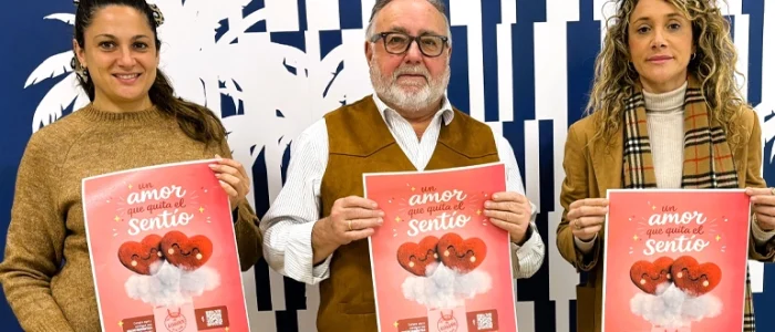 plantilla copia