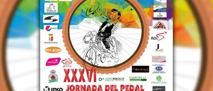 plantilla copia 2