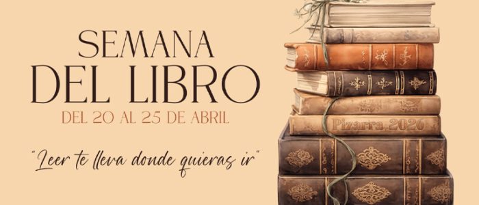 plantilla copia