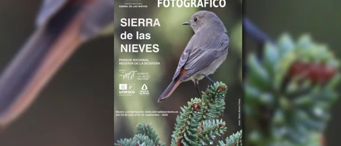 plantilla copia