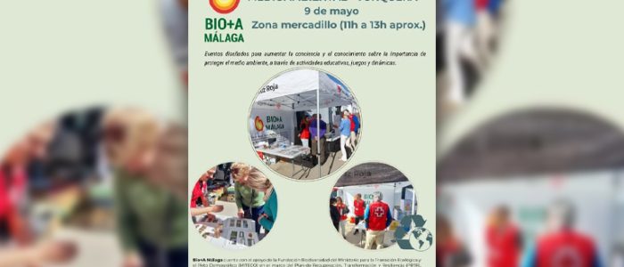 plantilla copia