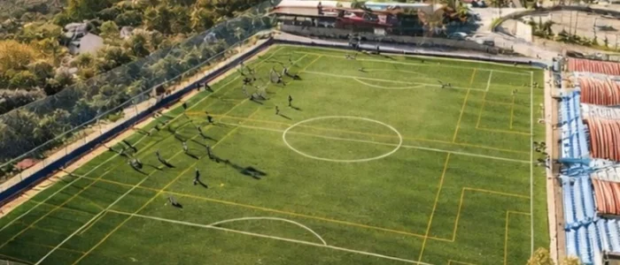 plantilla copia