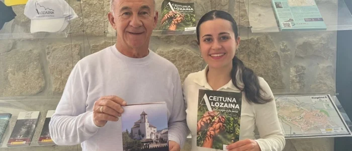 plantilla copia