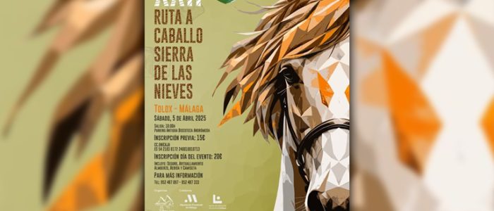 plantilla copia