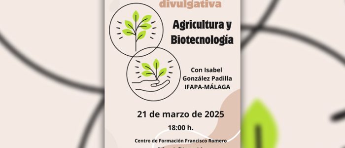 plantilla copia