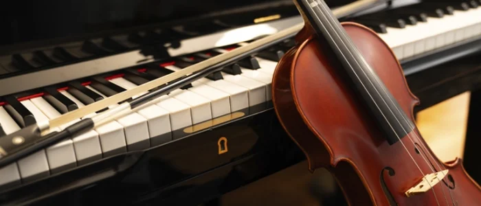 plantilla copia