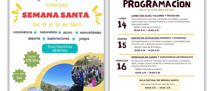 plantilla copia