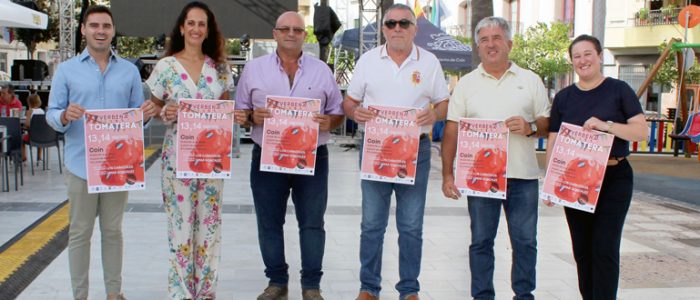 plantilla copia