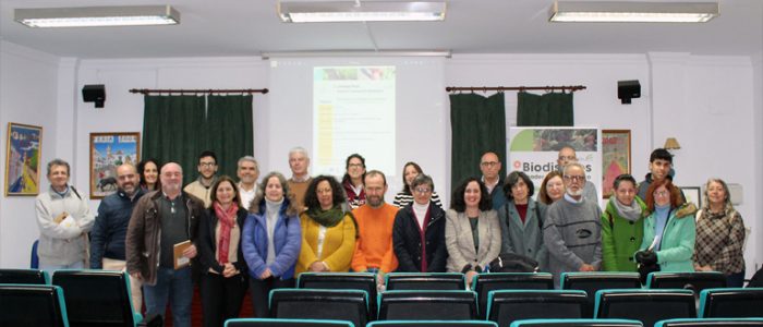 plantilla copia