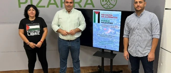 plantilla copia