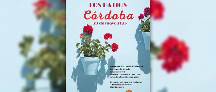plantilla copia