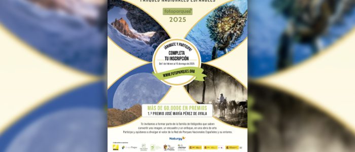 plantilla copia